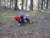 alex_i_skogen_1.jpg (45180 byte)